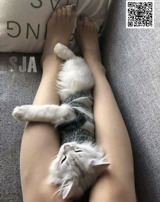 91久久国产综合久久91精品网站_高清免费HD高清完整电影
