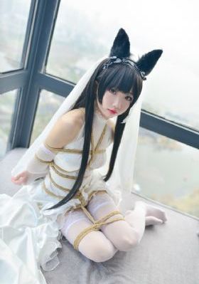美女视频黄a视频全免费网站色_BD国语高清视频播放