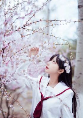 亚洲av欧美卡通动漫精品_完整视频大全